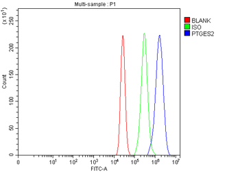 PTGES2/Gbf1 Rabbit Polyclonal Antibody