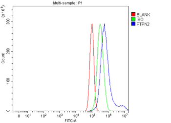 TCPTP/PTPN2 Rabbit Polyclonal Antibody