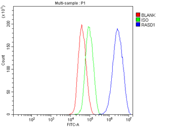 Dexras1/RASD1 Rabbit Polyclonal Antibody
