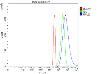 RPL23 Rabbit Polyclonal Antibody