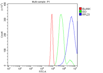 RPL23 Rabbit Polyclonal Antibody