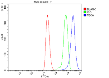 CFA/TBCA Rabbit Polyclonal Antibody