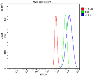 hUPF2/RENT2/UPF2 Rabbit Polyclonal Antibody