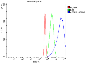 CTBP2 Mouse Monoclonal Antibody