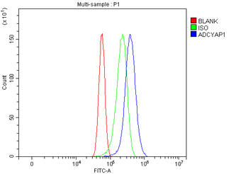 PACAP-38/ADCYAP1/PACAP Rabbit Polyclonal Antibody