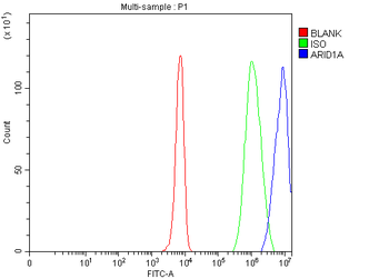 ARID1A Rabbit Polyclonal Antibody