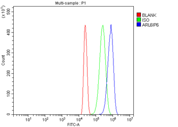 ARL6IP6 Rabbit Polyclonal Antibody