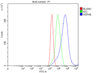 HSPA6 Rabbit Polyclonal Antibody
