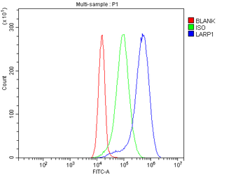 LARP1 Rabbit Polyclonal Antibody