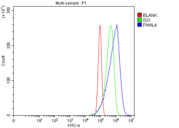 PIWIL4/PIWI Rabbit Polyclonal Antibody