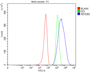 CLLD8/Setdb2 Rabbit Polyclonal Antibody