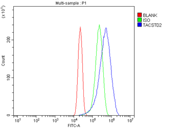 TROP2/TACSTD2 Rabbit Polyclonal Antibody
