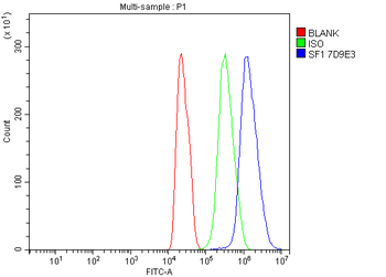 splicing factor 1 Mouse Monoclonal Antibody