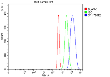 splicing factor 1 Mouse Monoclonal Antibody