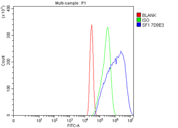 splicing factor 1 Mouse Monoclonal Antibody