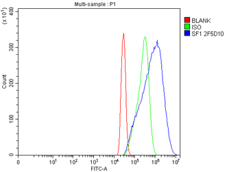 splicing factor 1 Mouse Monoclonal Antibody