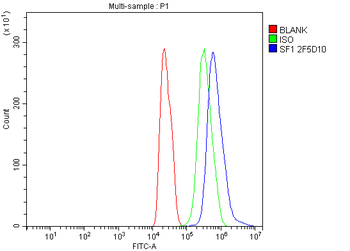 splicing factor 1 Mouse Monoclonal Antibody