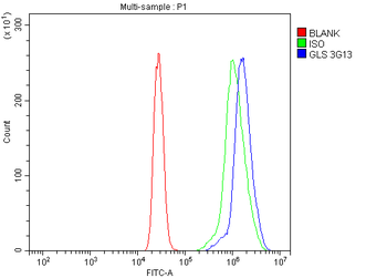 Glutaminase/GLS Mouse Monoclonal Antibody