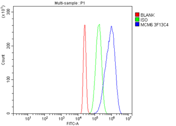 MCM6 Mouse Monoclonal Antibody