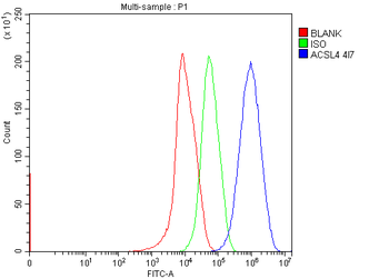 FACL4/ACSL4 Mouse Monoclonal Antibody