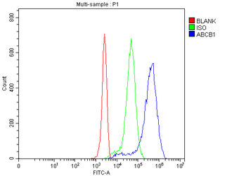 P Glycoprotein/ABCB1 Rabbit Polyclonal Antibody