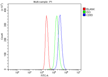 CD93 Rabbit Polyclonal Antibody