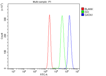 GATA1 Rabbit Polyclonal Antibody