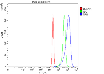 TPI1 Rabbit Polyclonal Antibody