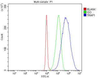 TRAP1 Rabbit Polyclonal Antibody