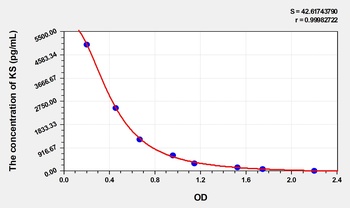 Human Keratan Sulfate (KS) ELISA Kit