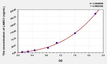 Human LAMC1(Laminin Gamma 1) Microsample ELISA Kit