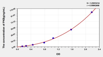 Human Protein Kinase B Gamma (PKBg) ELISA Kit