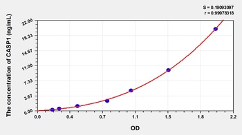 Human Caspase 1 (CASP1) ELISA Kit