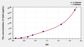 Human Tyrosine Kinase 2 (Tyk2) ELISA Kit