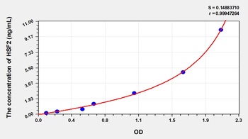 Human Heat Shock Transcription Factor 2 (HSF2) ELISA Kit