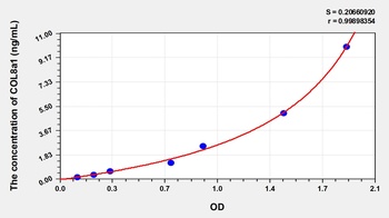 Human Collagen Type VIII Alpha 1 (COL8a1) ELISA Kit
