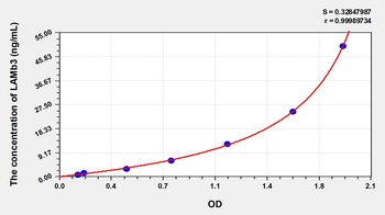 Human Laminin Beta 3 (LAMb3) ELISA Kit