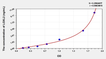 Human Lysyl Oxidase Like Protein 2 (LOXL2) ELISA Kit