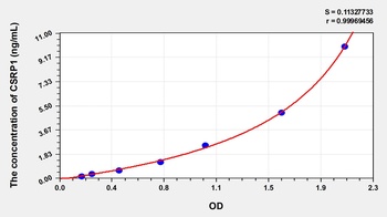 Human Cysteine and Glycine Rich Protein 1 (CSRP1) ELISA Kit