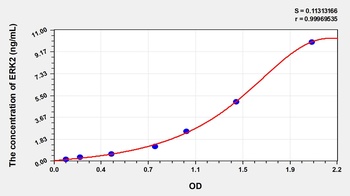Rat Extracellular Signal Regulated Kinase 2 (ERK2) ELISA Kit