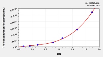 Human Brain Natriuretic Peptide (BNP) ELISA Kit