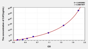 Rat Catalase (CAT) ELISA Kit