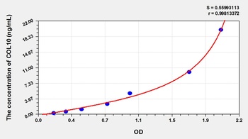 Rat Collagen Type X (COL10) ELISA Kit