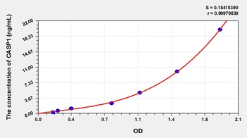 Rat Caspase 1 (CASP1) ELISA Kit