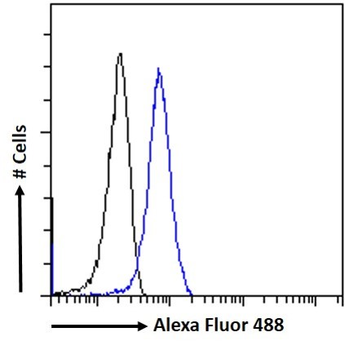 GPR94/TRA1 Antibody