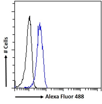PSCA (aa27-40) Antibody
