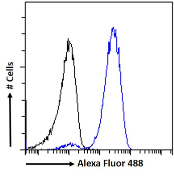 CIRBP (aa 81-91) Antibody
