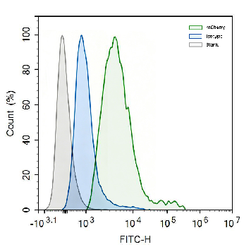 mCherry Goat Polyclonal Antibody