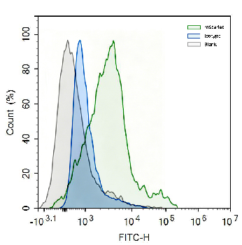 mScarlet Goat Polyclonal Antibody