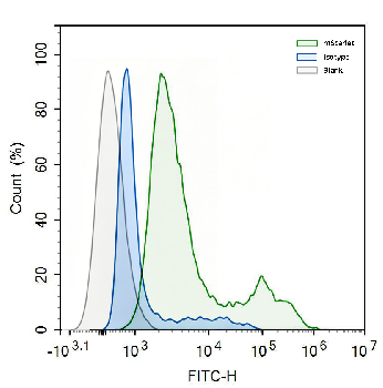 mScarlet Mouse Monoclonal Antibody